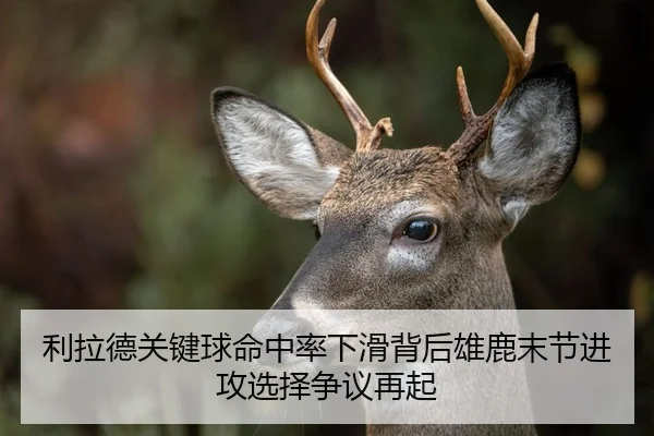 利拉德关键球命中率下滑背后雄鹿末节进攻选择争议再起 - kaiyun